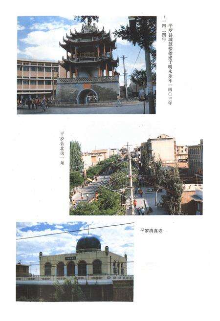 《《平罗县财政志》》.pdf_宁夏回族自治区志预览图4