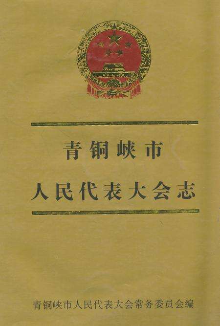 《《青铜峡市人民代表大会志》》.pdf_宁夏回族自治区志缩略图