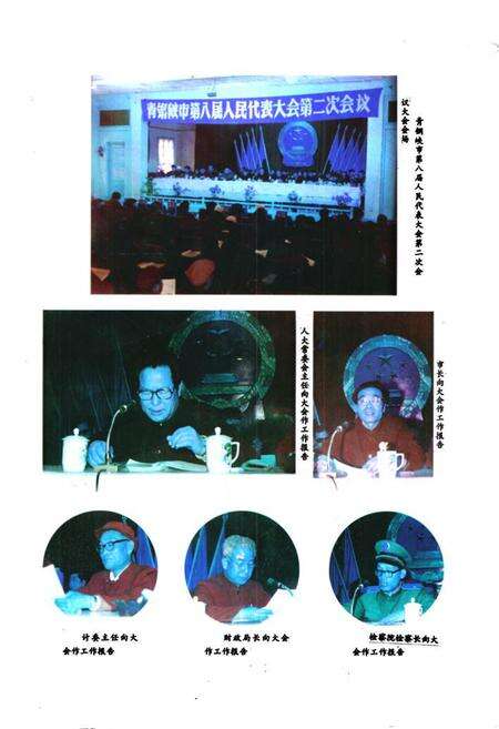 《《青铜峡市人民代表大会志》》.pdf_宁夏回族自治区志预览图5