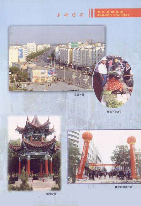 《贺兰县财政志》.pdf_宁夏回族自治区志预览图5