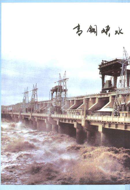 《青铜崃水电厂志(续)(1986-2004)》.pdf_宁夏回族自治区志预览图5