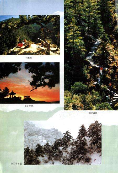 《宁夏贺兰山国家级自然保护区志》.pdf_宁夏回族自治区志预览图4