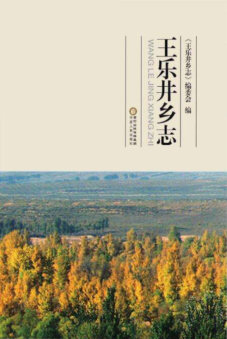 《王乐井乡志》.pdf_宁夏回族自治区志缩略图