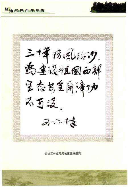 《盐池机械化林场志》.pdf_宁夏回族自治区志预览图5