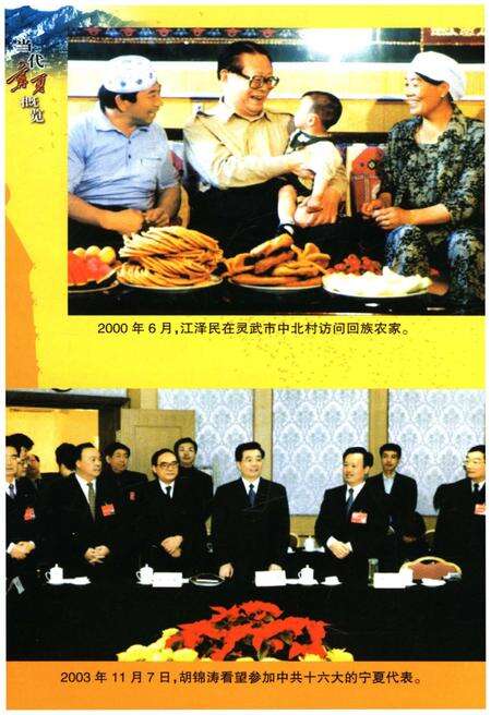 《当代宁夏概览》.pdf_宁夏回族自治区志预览图5