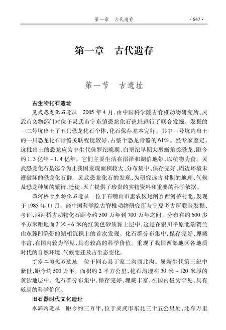《宁夏通志文化卷 下》.pdf_宁夏回族自治区志预览图5