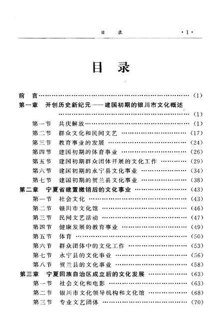 《银川文化史当代卷》.pdf_宁夏回族自治区志预览图4
