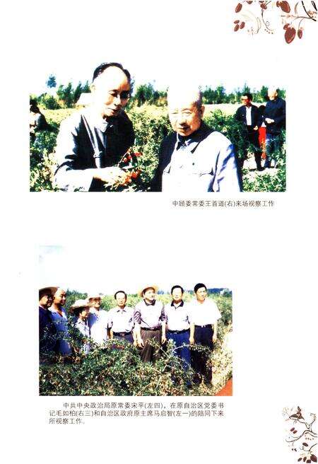 《宁夏农林科学院枸杞研究所志》.pdf_宁夏回族自治区志预览图3