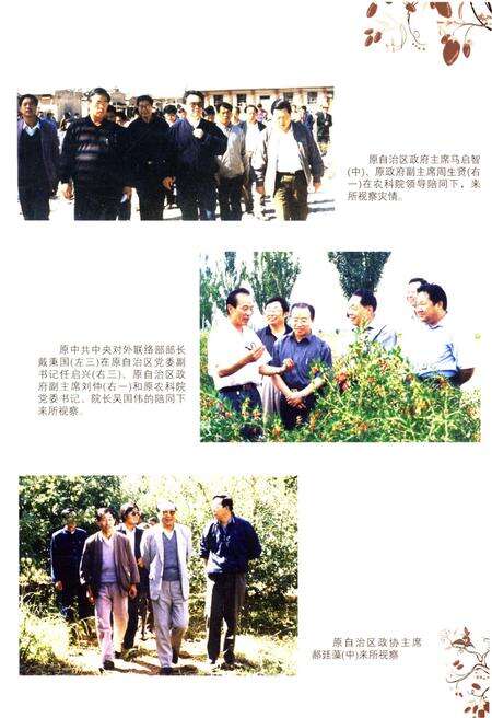 《宁夏农林科学院枸杞研究所志》.pdf_宁夏回族自治区志预览图5