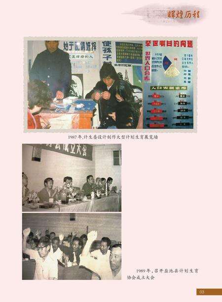 《盐池县人口和计划生育志》.pdf_宁夏回族自治区志预览图4