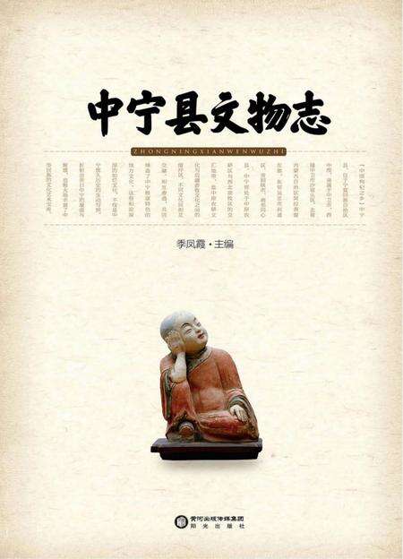 《中宁县文物志》.pdf_宁夏回族自治区志缩略图