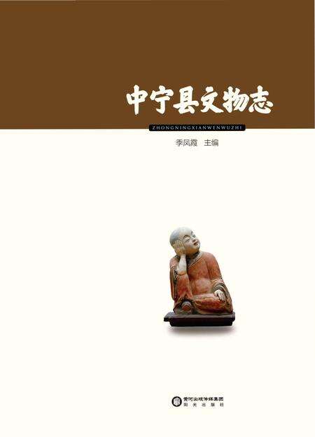 《中宁县文物志》.pdf_宁夏回族自治区志预览图1