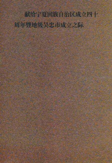 《银南法院志》.pdf_宁夏回族自治区志预览图3