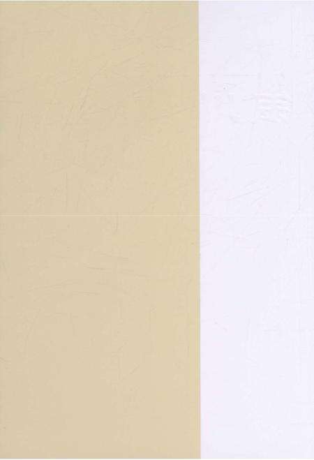 《银川艺文志》.pdf_宁夏回族自治区志预览图1