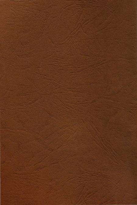 《平罗县城关第一小学校志（第二部）》.pdf_宁夏回族自治区志预览图1