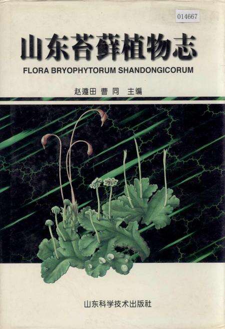 《山东苔藓植物志》.pdf_山东省志缩略图