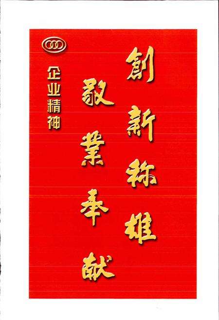 《山东省三环制锁集团公司志》.pdf_山东省志预览图5