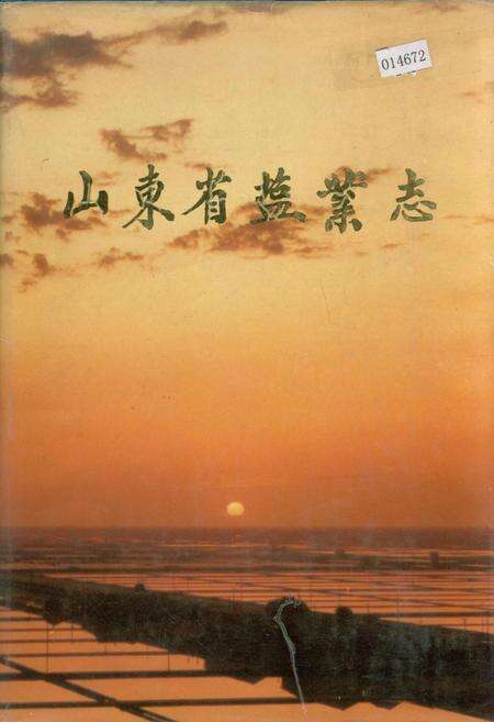《山东省盐业志》.pdf_山东省志缩略图