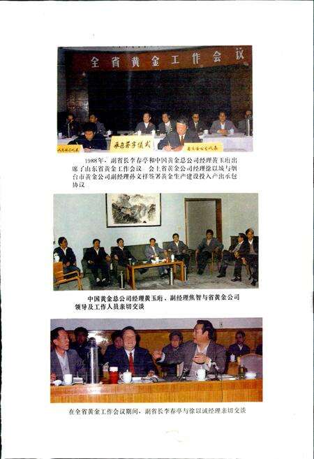 《山东省黄金工业志》.pdf_山东省志预览图5