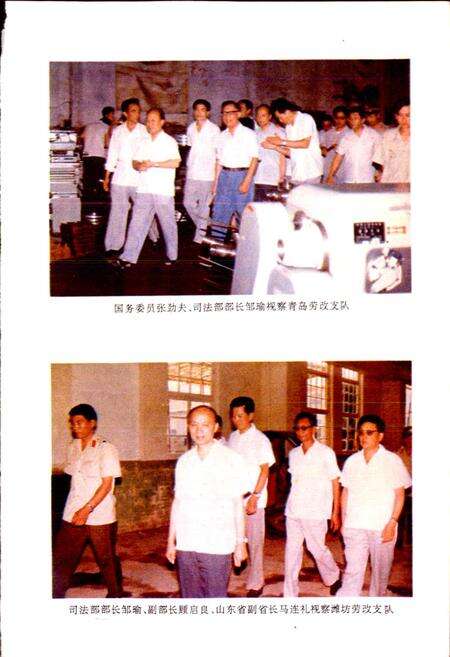 《山东省劳改·劳教志》.pdf_山东省志预览图5