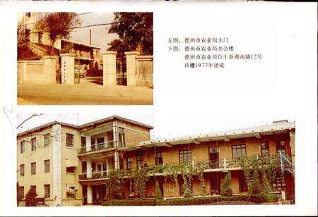 《德州市农业志》.pdf_山东省志预览图3