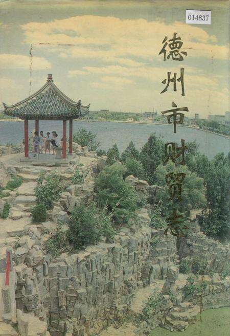 《德州市财贸志》.pdf_山东省志缩略图