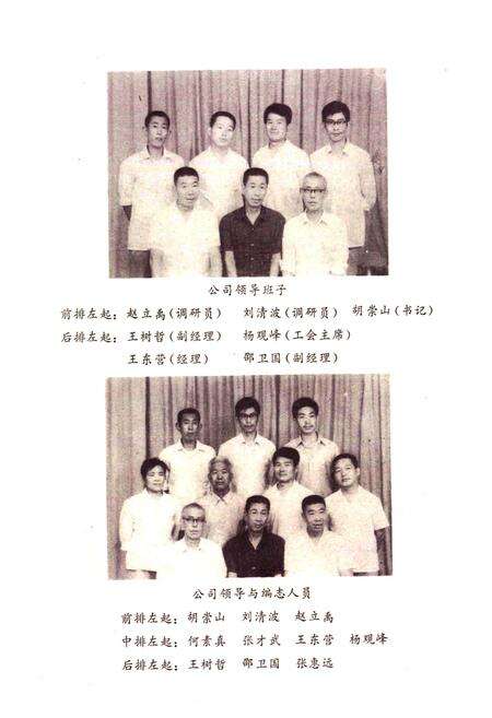 《德州地区化工轻工材料公司志》.pdf_山东省志预览图2