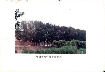 《茌平县粮食志》.pdf_山东省志预览图3