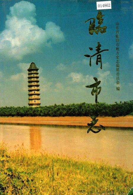 《临清市志》.pdf_山东省志缩略图