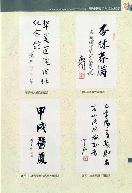 《聊城市第二人民医院志》.pdf_山东省志预览图5