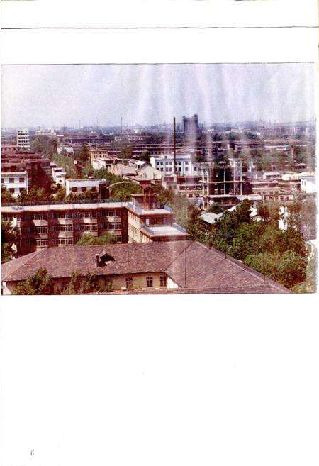 《山东新华制药厂志 第一卷》.pdf_山东省志预览图2