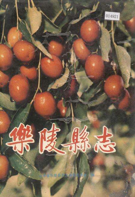 《乐陵县志》.pdf_山东省志缩略图