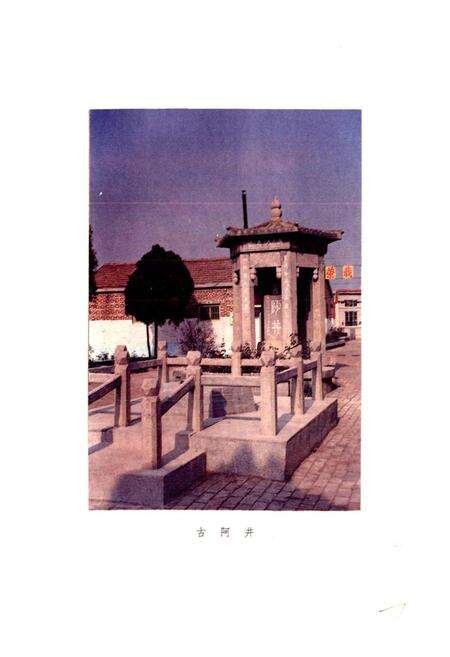 《阳谷县医药志》.pdf_山东省志预览图3