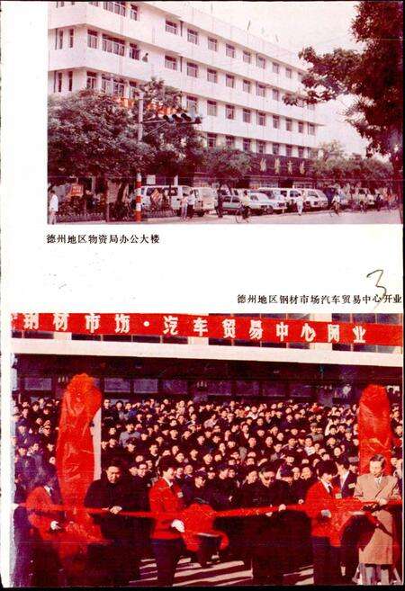 《德州地区物资志》.pdf_山东省志预览图4