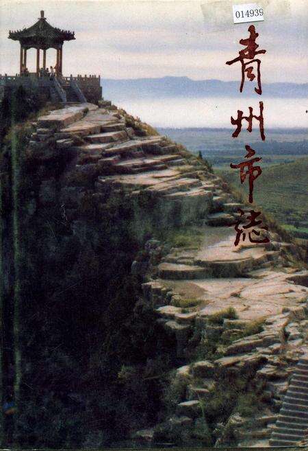 《青州市志》.pdf_山东省志缩略图