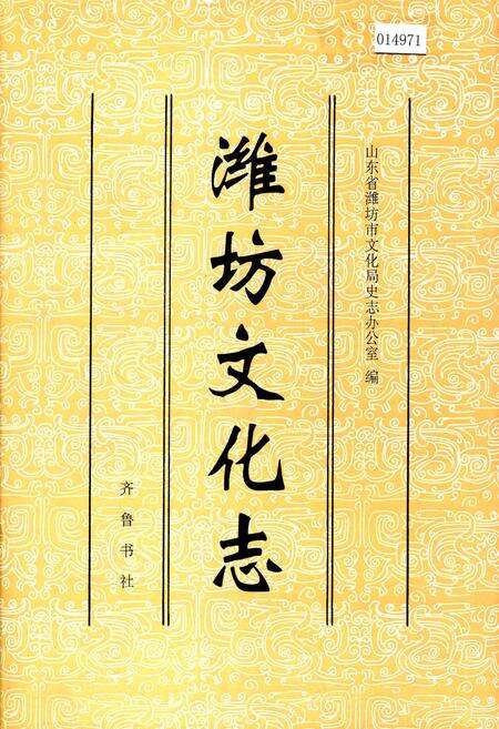 《潍坊文化志》.pdf_山东省志缩略图