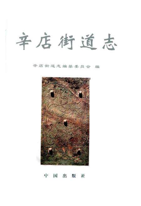 《辛店街道志》.pdf_山东省志预览图1