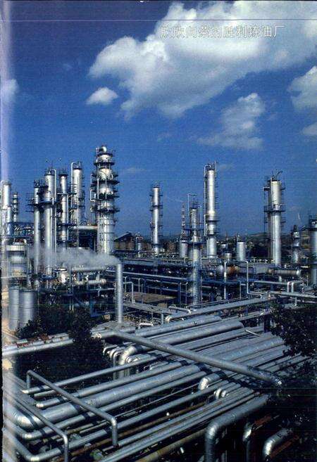 《齐鲁石化公司胜利炼油厂志》.pdf_山东省志预览图3