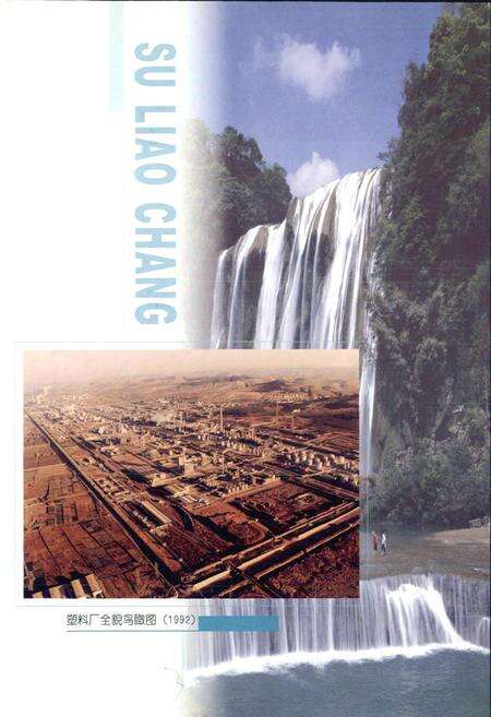 《中国石化齐鲁股份有限公司塑料厂志》.pdf_山东省志预览图3