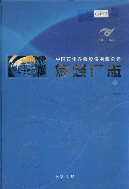 《中国石化齐鲁股份有限公司烯烃厂志 上》.pdf_山东省志缩略图