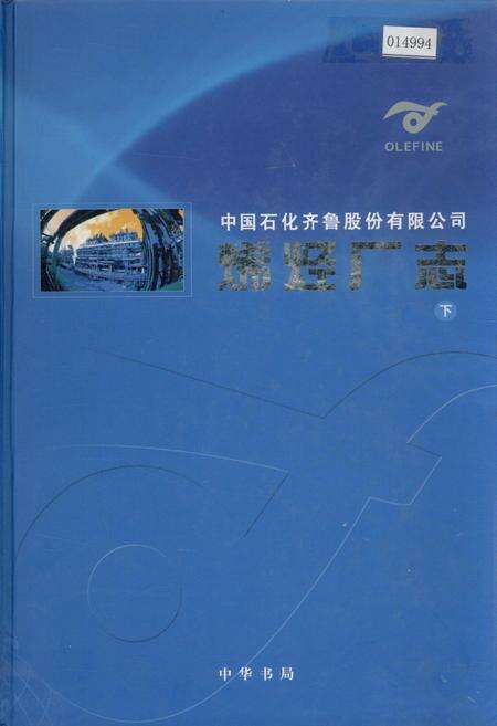 《中国石化齐鲁股份有限公司烯烃厂志 下》.pdf_山东省志缩略图
