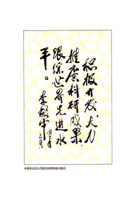 《齐鲁石化公司研究院志》.pdf_山东省志预览图2