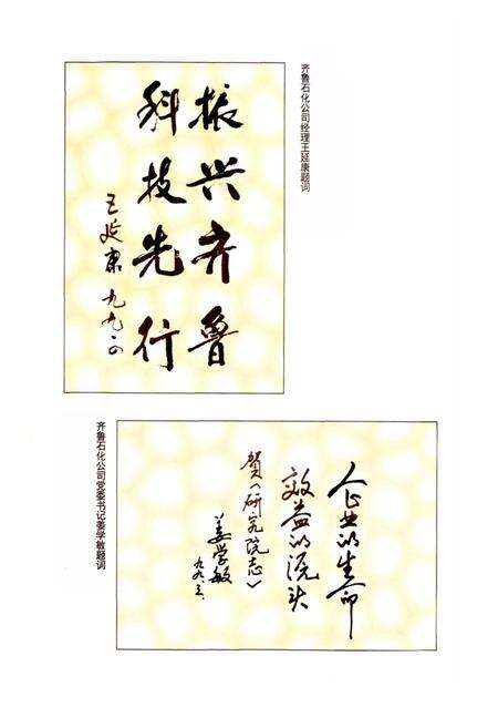 《齐鲁石化公司研究院志》.pdf_山东省志预览图3