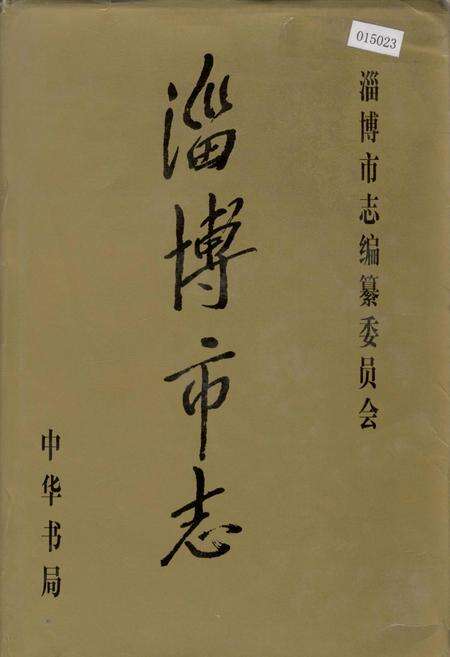 《淄博市志 上》.pdf_山东省志缩略图