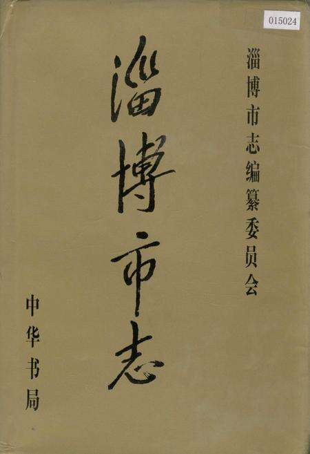 《淄博市志 下》.pdf_山东省志缩略图