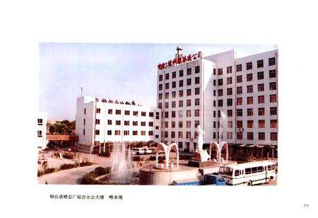 《山东烟台造锁总厂志》.pdf_山东省志预览图5