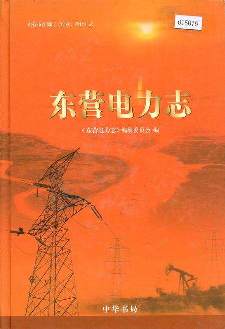 《东营电力志》.pdf_山东省志缩略图