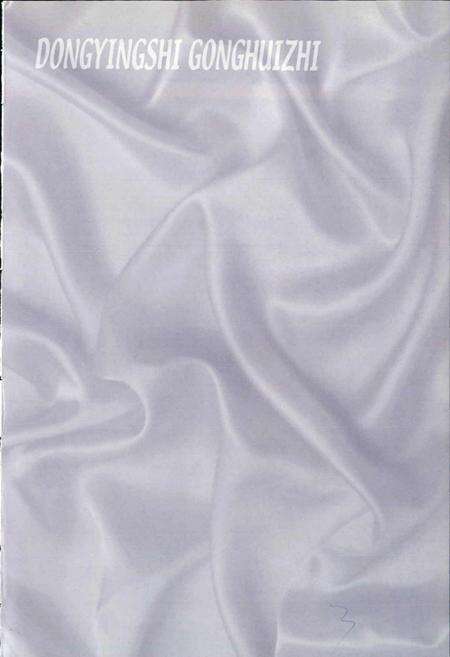 《东营市工会志》.pdf_山东省志预览图2