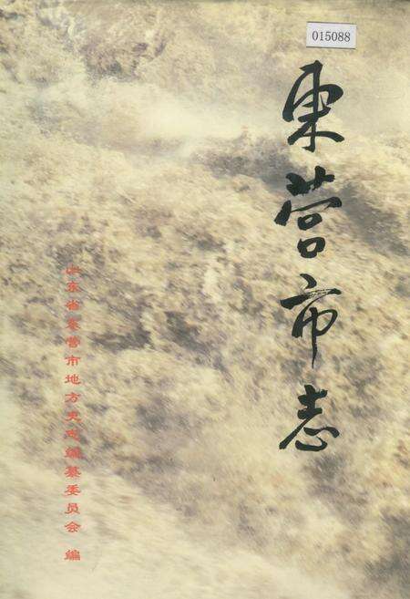 《东营市志 上》.pdf_山东省志缩略图