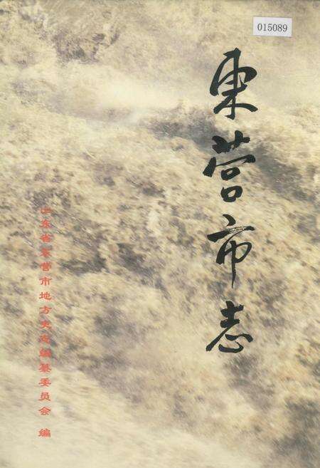 《东营市志 下》.pdf_山东省志缩略图